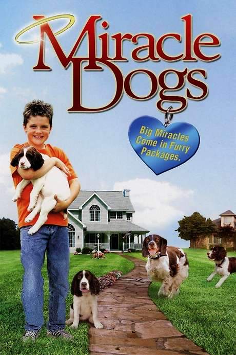 Miracle Dogs